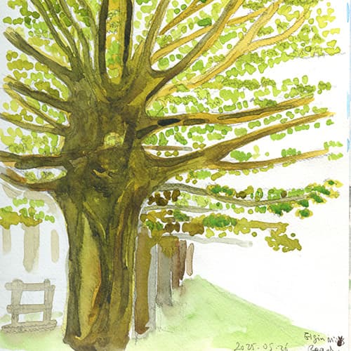 Tree study II